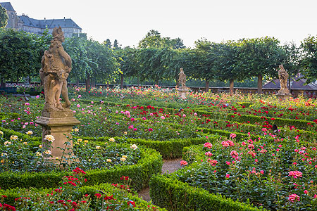 Picture: Rose Garden Bamberg