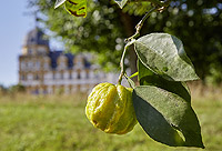 Bayerische Schlosserverwaltung Garten Ubersicht