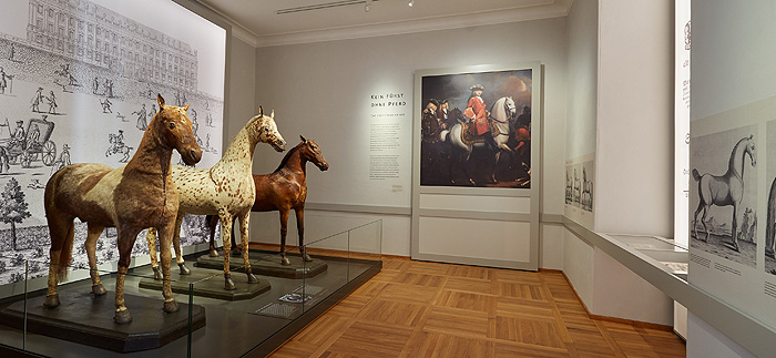 Bild: Ausstellungsraum "Kein Fürst ohne Pferd"