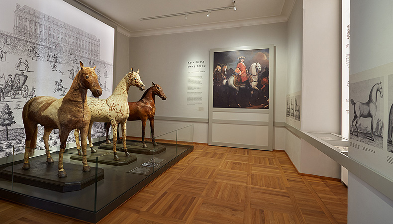 Picture: Exhibition room "The equestrian prince"