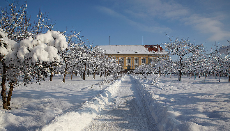 Bild: Schloss und Hofgarten Dachau