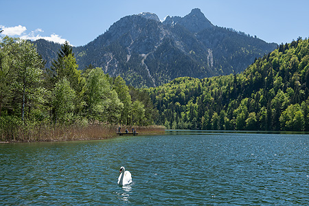 Picture: Schwansee