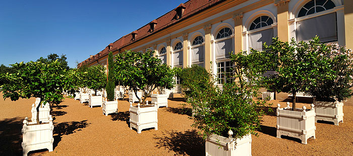 Bild: Hofgarten Ansbach, Kübelpflanzen vor der Orangerie